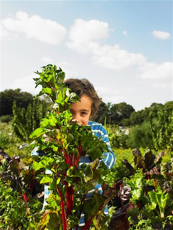 Boy Hiding Behind Plant Foto de stock - Con derechos protegidos, Código: 700-01718068