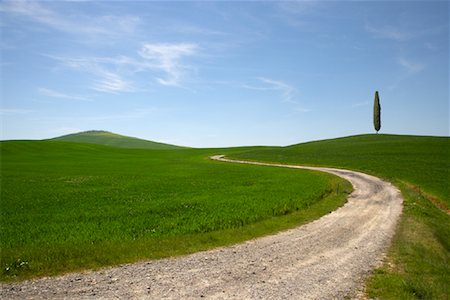 route moins fréquentée - Toscane, Italie Photographie de stock - Rights-Managed, Code: 700-01718101