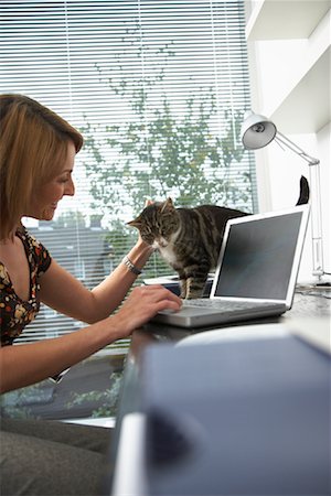 Femme à l'aide d'ordinateur portable, caresser chat Photographie de stock - Rights-Managed, Code: 700-01742601