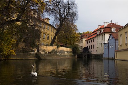 swan river - Devil's Creek and Kampa Island, Prague, Czech Republic Foto de stock - Direito Controlado, Número: 700-01742913