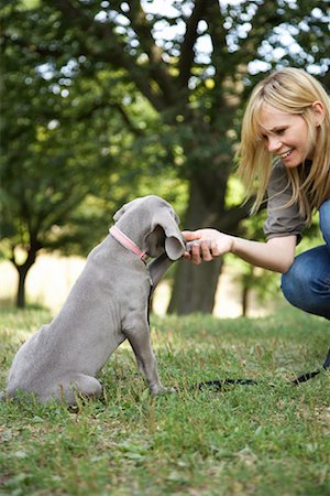 dress - Femme dans le parc avec le chien Photographie de stock - Rights-Managed, Code: 700-01764867