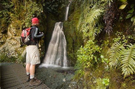 southland - Man beobachtete Wasserfälle aus Trail, Fiordland-Nationalpark, Südinsel, Neuseeland Stockbilder - Lizenzpflichtiges, Bildnummer: 700-01765130