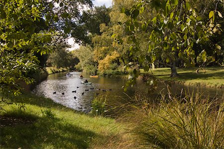 Kayakers on River, Avon River, Hagley Park, Christchurch, New Zealand Foto de stock - Direito Controlado, Número: 700-01765133