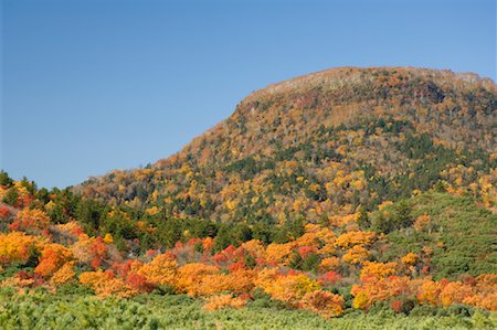 simsearch:841-03869928,k - Forest and Mountain in Autumn, Akan National Park, Hokkaido, Japan Stock Photo - Rights-Managed, Code: 700-01788007