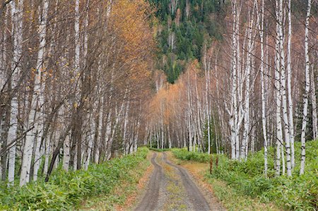 route moins fréquentée - Chemin de terre dans le Parc National de Daisetsuzan, Hokkaido, Japon Photographie de stock - Rights-Managed, Code: 700-01788009