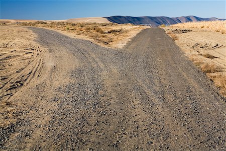 diverging road - Fork in Dirt Road, Oregon, USA Foto de stock - Con derechos protegidos, Código: 700-01788173