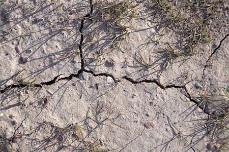 Cracked Earth, Schleswig-Holstein, Germany Foto de stock - Con derechos protegidos, Código: 700-01837825