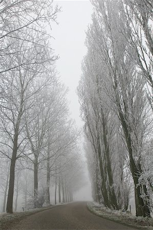 Country Road in Winter, Kortgene, Zeeland, Netherlands Stock Photo - Rights-Managed, Code: 700-01838638