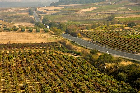 simsearch:700-01879716,k - Vineyards, La Rioja, Spaine Foto de stock - Con derechos protegidos, Código: 700-01879738