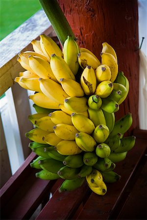 Bananas. Niue Island, South Pacific Stock Photo - Rights-Managed, Code: 700-01880024