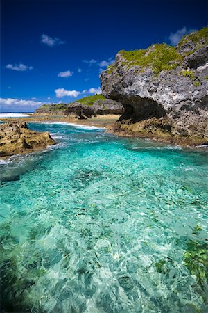 simsearch:700-01880060,k - Namakulu Meer Track, Niue Island, Süd-Pazifik Stockbilder - Lizenzpflichtiges, Bildnummer: 700-01880056