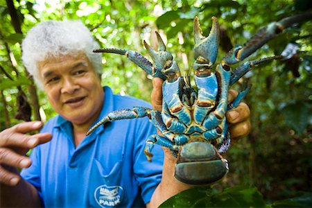 Man Holdiing Coconut Crab, Niue Island, South Pacific Fotografie stock - Rights-Managed, Codice: 700-01880074