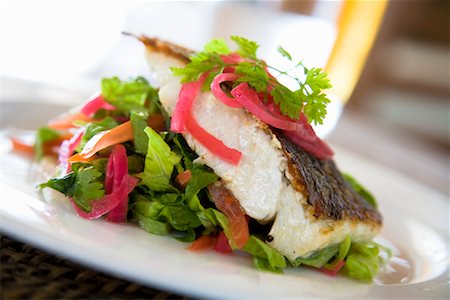 presenting plate - Barramuni Fish and Salad Stock Photo - Rights-Managed, Code: 700-01880095