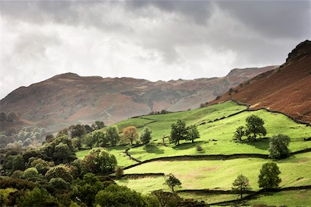 emerald green - Overview of Fields, Lake District, Cumbria, England, United Kingdom Foto de stock - Con derechos protegidos, Código: 700-01880336