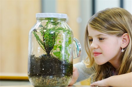 engrandecer - Student in Classroom, Examining Ecosystem Project Foto de stock - Con derechos protegidos, Código: 700-01954529