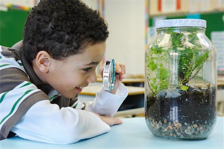 Student in Classroom, Examining Ecosystem Project Fotografie stock - Rights-Managed, Codice: 700-01954533