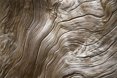 Close-Up of Driftwood Stock Photo - Rights-Managed, Code: 700-01955378