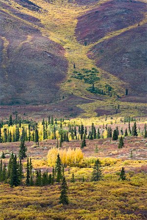 North Klondike River Valley, Tombstone Mountain Range, Tombstone Territorial Park, Yukon, Canada Stock Photo - Rights-Managed, Code: 700-01955394
