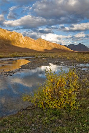 rivière yukon - Montagnes et la rivière, Parc Territorial de Tombstone, Yukon, Canada Photographie de stock - Rights-Managed, Code: 700-01955398