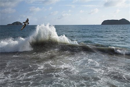 powerful water wave - Seascape Stock Photo - Rights-Managed, Code: 700-01955526