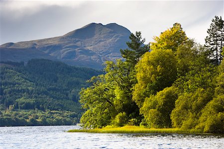 simsearch:700-02260046,k - Bäume am Ufer, Loch Ard, Trossachs, Schottland Stockbilder - Lizenzpflichtiges, Bildnummer: 700-01953786