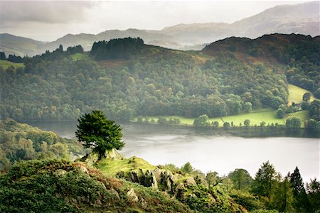 Overview of Lake, Grasmere, Lake District, Cumbria, England Foto de stock - Con derechos protegidos, Código: 700-01953789
