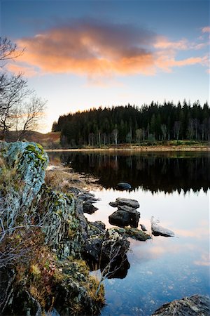 simsearch:700-03638910,k - Overview of Loch, Loch Achray, Trossachs, Stirling, England Fotografie stock - Rights-Managed, Codice: 700-01953824