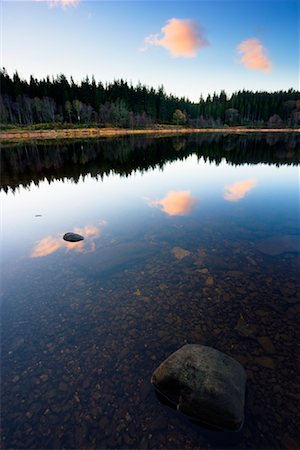 simsearch:700-03638910,k - Overview of Loch, Loch Achray, Trossachs, Stirling, England Fotografie stock - Rights-Managed, Codice: 700-01953825