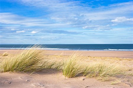 sand hill - Dune Grass on Beach, East Lothian, Scotland, United Kingdom Stock Photo - Rights-Managed, Code: 700-02010216