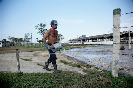 simsearch:600-03686167,k - Farmer Building Barbed Wire Fence, Cuba Stock Photo - Rights-Managed, Code: 700-02010235