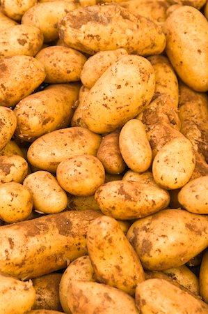 dirt piles - Potatoes Stock Photo - Rights-Managed, Code: 700-02010570