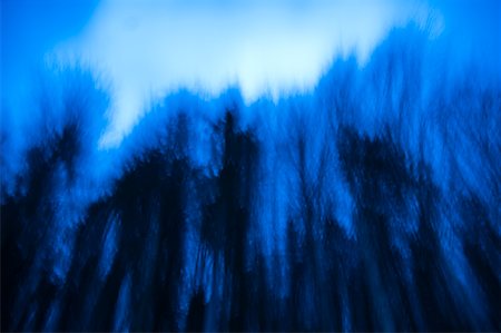 spooky night sky - Blurred Trees, Salzburg, Salzburger Land, Austria Stock Photo - Rights-Managed, Code: 700-02038075