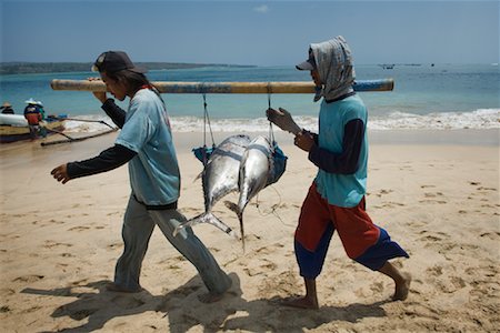 Pêcheurs de thon sur la plage, Bali, Indonésie Photographie de stock - Rights-Managed, Code: 700-02046370