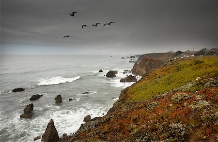 Rugged, Coastal Cliffs, North California, USA Foto de stock - Con derechos protegidos, Código: 700-02046455