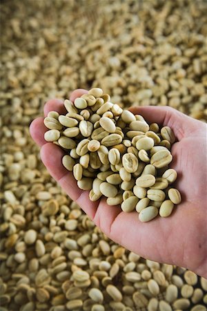 plantation de café - Poignée de grains de café Photographie de stock - Rights-Managed, Code: 700-02046579