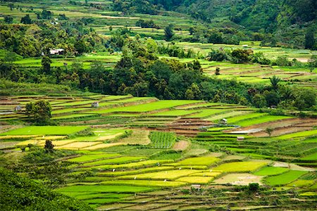 sumatra - Vue d'ensemble des rizières en terrasses, Alahan Panjang, Sumatra, Indonésie Photographie de stock - Rights-Managed, Code: 700-02046604