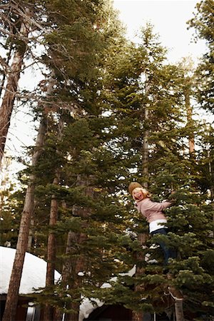 evergreen tree looking up - Woman Climbing Tree Stock Photo - Rights-Managed, Code: 700-02046915