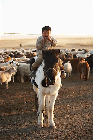 simsearch:700-02314934,k - Boy on Horseback Herding Sheep, Khustain Nuruu National Park, Mongolia Foto de stock - Con derechos protegidos, Código: 700-02046992