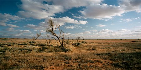 dry and arid and land - Desert in Broken Hill, New South Wales, Australia Stock Photo - Rights-Managed, Code: 700-02055909