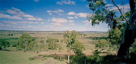Landscape, Glen Innes, New South Wales, Australia Foto de stock - Direito Controlado, Número: 700-02056192