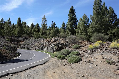 pico del teide - Road on Pico del Teide, Tenerife, Canary Islands, Spain Foto de stock - Con derechos protegidos, Código: 700-02071228