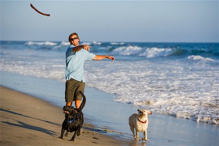 simsearch:649-08766301,k - Homme qui joue avec les chiens sur la plage, Huntington Beach, Orange County, Californie, Etats-Unis Photographie de stock - Rights-Managed, Code: 700-02081957