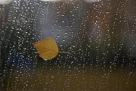 sad rainy day - Leaf and Raindrops on Window Stock Photo - Rights-Managed, Code: 700-02082044