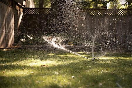 Sprinkler in Backyard Foto de stock - Con derechos protegidos, Código: 700-02129142