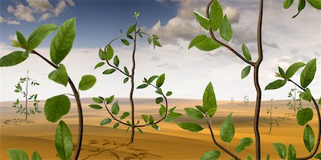 finance concept investment growth - Plants Shaped like Dollar Signs Growing in Desert Landscape Stock Photo - Rights-Managed, Code: 700-02121572