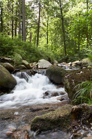 Heinrich Heine Wanderweg, Ilse River, Harz Mountains, Harz National Park, Saxony-Anhalt, Germany Stock Photo - Rights-Managed, Code: 700-02130457