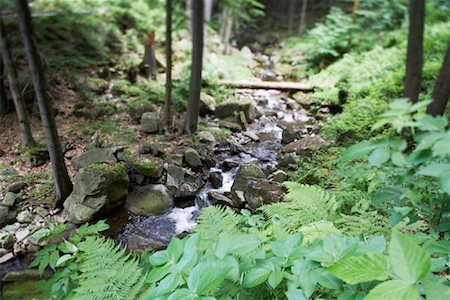 simsearch:700-02130456,k - Heinrich Heine Wanderweg, Ilse River, Harz Mountains, Harz National Park, Saxony-Anhalt, Germany Foto de stock - Con derechos protegidos, Código: 700-02130461