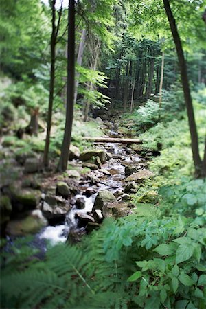 Heinrich Heine Wanderweg, Ilse River, Harz montagnes, le Parc National du Harz, Saxe-Anhalt, Allemagne Photographie de stock - Rights-Managed, Code: 700-02130462