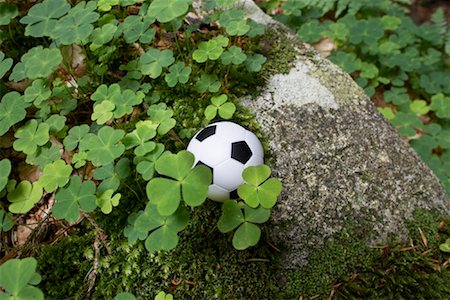 soccer ball closeup - Miniature Soccer Ball by Clover, Harz National Park, Saxony-Anhalt, Germany Stock Photo - Rights-Managed, Code: 700-02130506