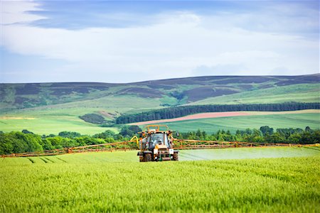 simsearch:700-02244773,k - Champ de blé de pulvérisation de tracteur Photographie de stock - Rights-Managed, Code: 700-02130875